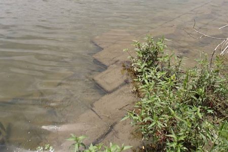 お手軽小物釣り