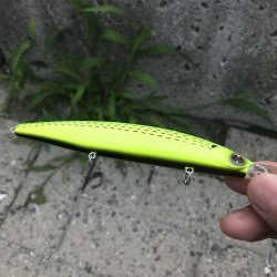 エイはキライです(-_-;)