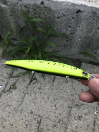 エイはキライです(-_-;)