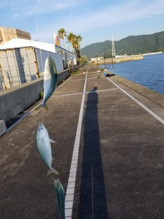 マリーナシティでジグサビキ威力発揮