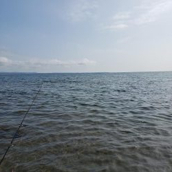 SUPフィッシング