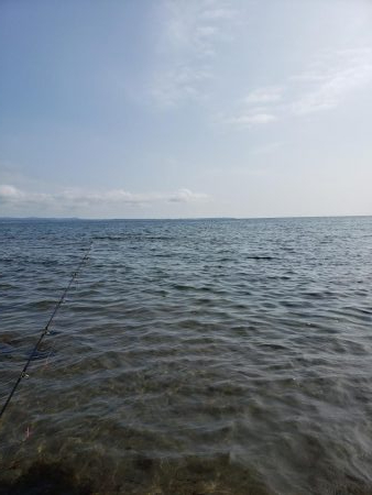 SUPフィッシング