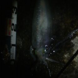 逆転ホームラン