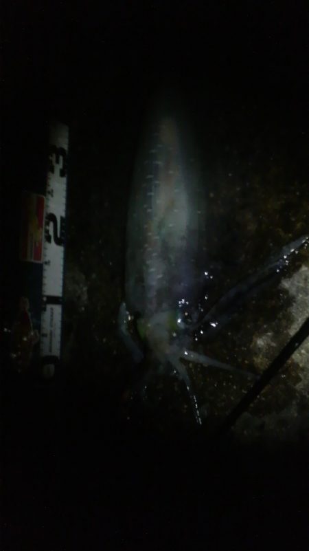 逆転ホームラン