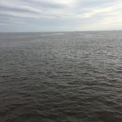 夕方の寝魚探り