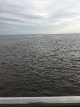 夕方の寝魚探り