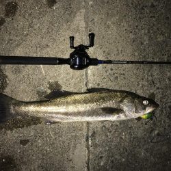 ビックサイズGET！