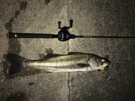 ビックサイズGET！