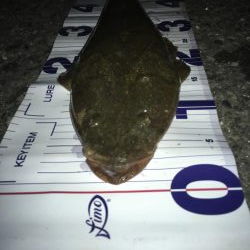 マゴチとセイゴ