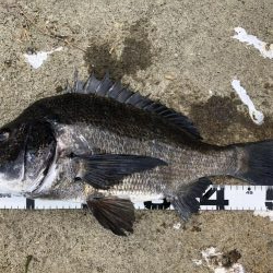 イチノ兄弟、釣果!!