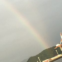 貧果ですが・・・