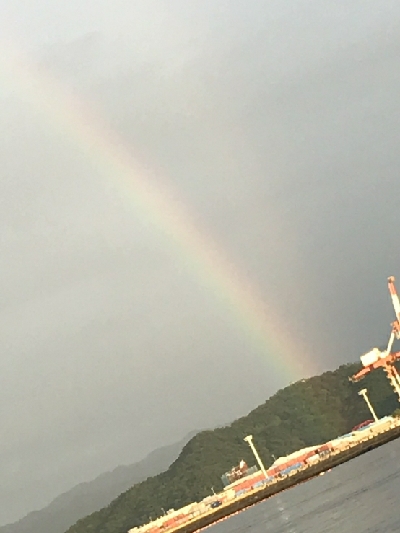 貧果ですが・・・