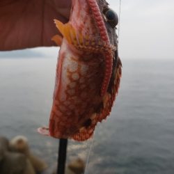 射程距離外でアウト