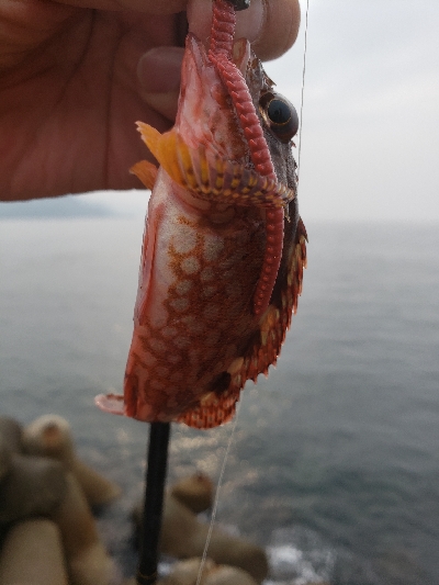 射程距離外でアウト