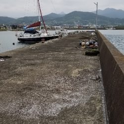 チヌ落としこみ