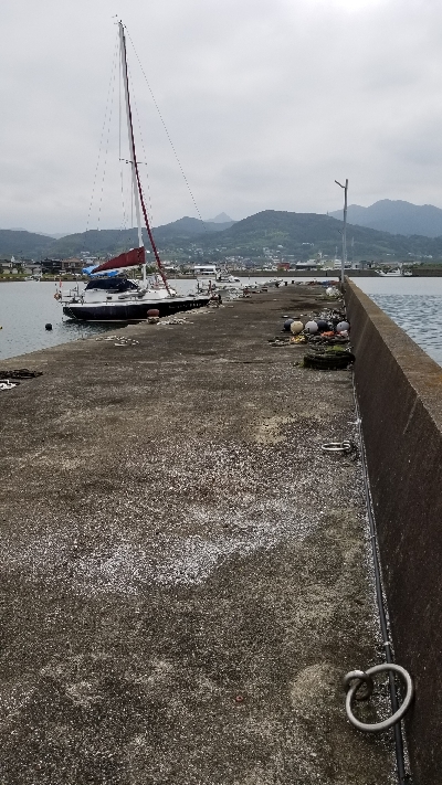 チヌ落としこみ