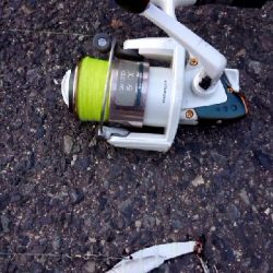 久々のシーバス♪