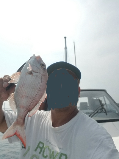 明石タイラバちょっとだけリベンジ