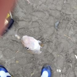 今日は近場で？