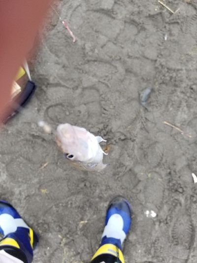 今日は近場で？