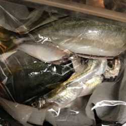 貴重なつばすちゃん