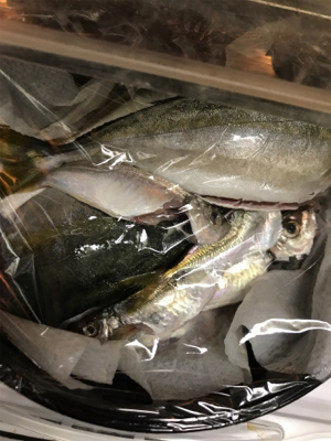 貴重なつばすちゃん