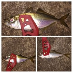 アジンガー1900〜1930 2100〜2140