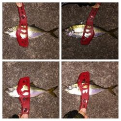 アジンガー1910〜2025