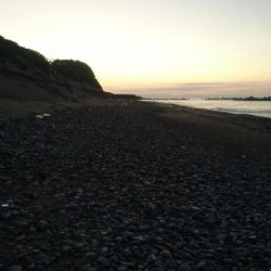 仁淀川河口周辺サーフライトショアジギング