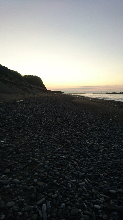 仁淀川河口周辺サーフライトショアジギング