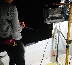 初イカメタル便