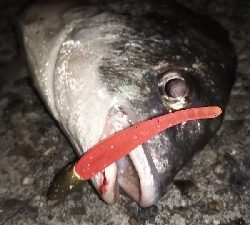 ボトムアタック