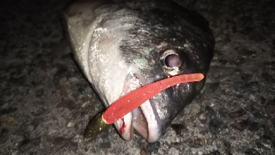 ボトムアタック