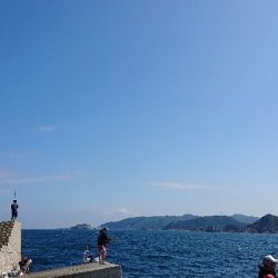 勉強不足を痛感！