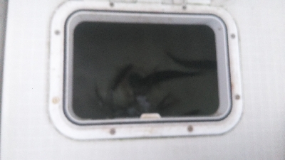 fxfで神戸空港近くで初ツバス