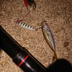 サバゲームのはずが。