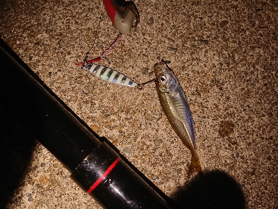 サバゲームのはずが。