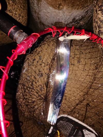 太刀魚から青物狙い