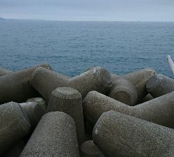 モジャコからツバスに