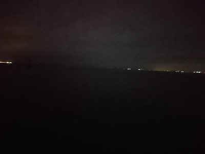 裏切らないガッシー