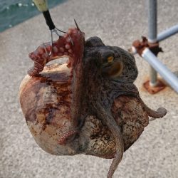 釣り部  釣行記  33