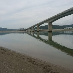 仁淀川河口ライトショアジギング