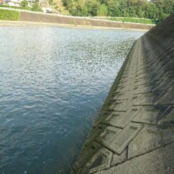 夕方のトップチニング