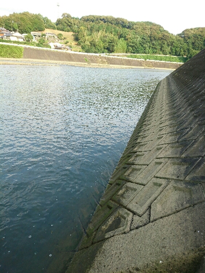 夕方のトップチニング