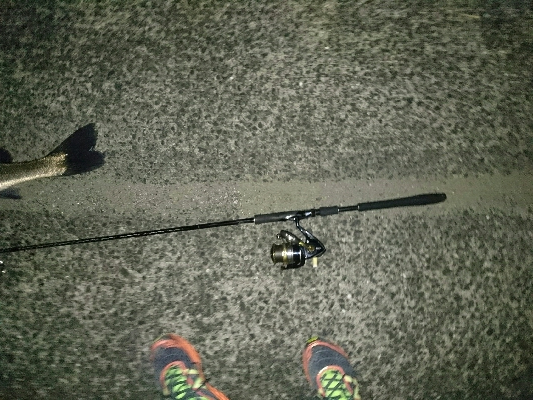 久しぶりのランカーサイズをゲット！！