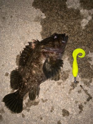 時間無制限一本勝負