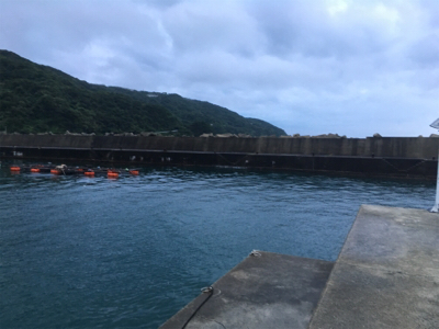 フラットフィッシュ狙い