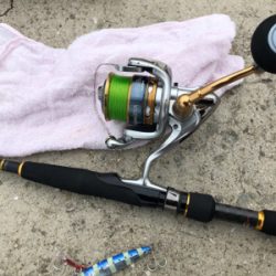 ツバス、ゲット！