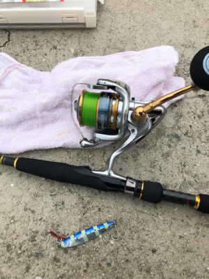 ツバス、ゲット！