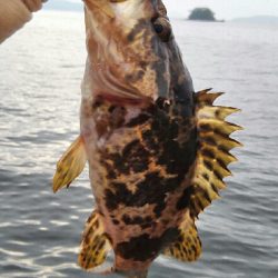 2019年7月2日釣行in伊崎漁港周辺